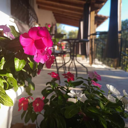 Vergia Studios Sozopoli Dış mekan fotoğraf