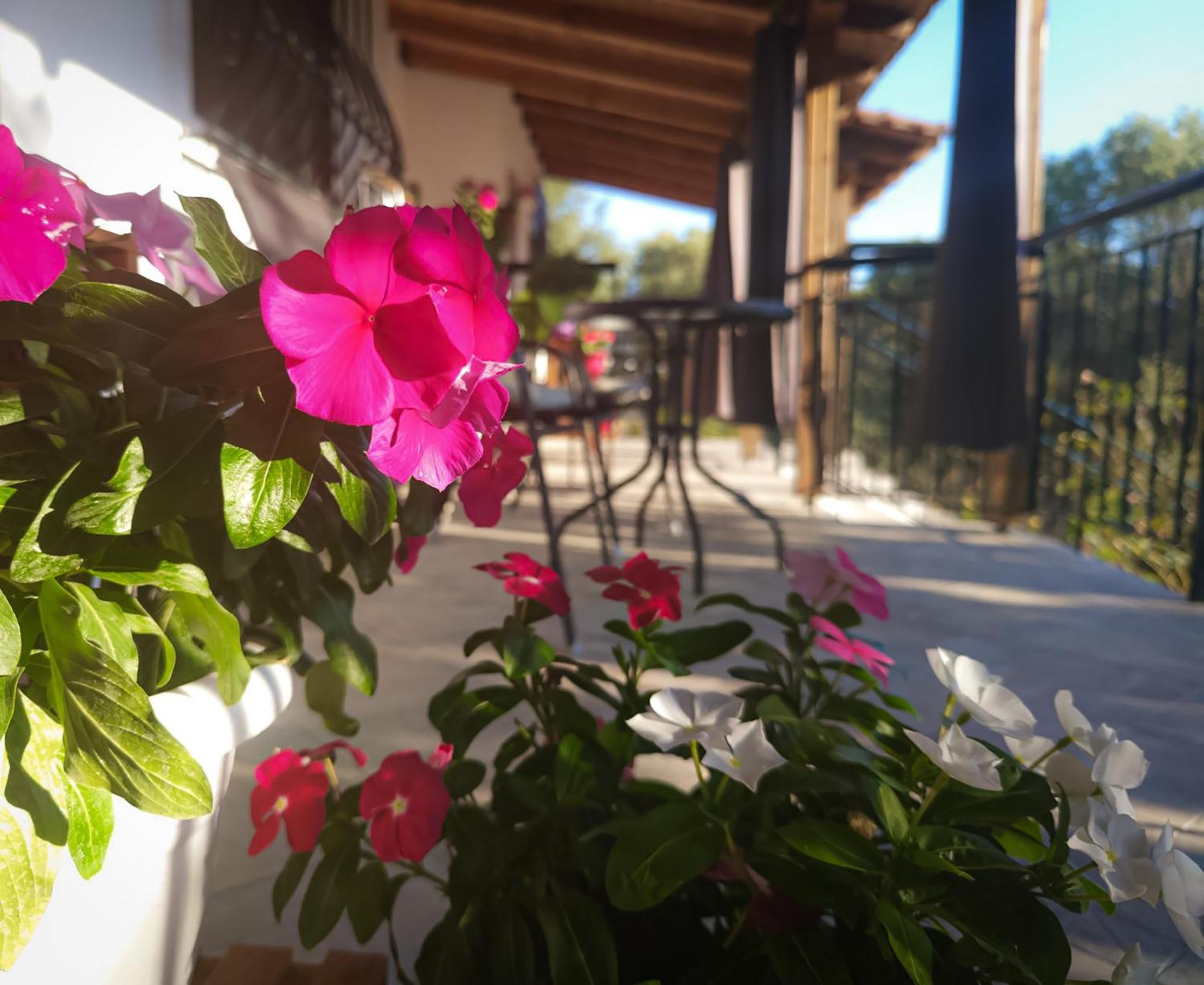 Vergia Studios Sozopoli Dış mekan fotoğraf